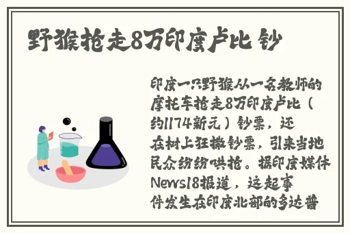 百合车车描写文字